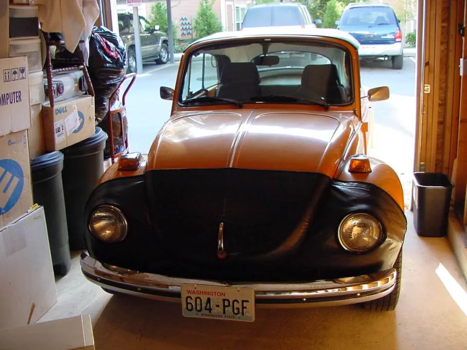 bug-in-redmond