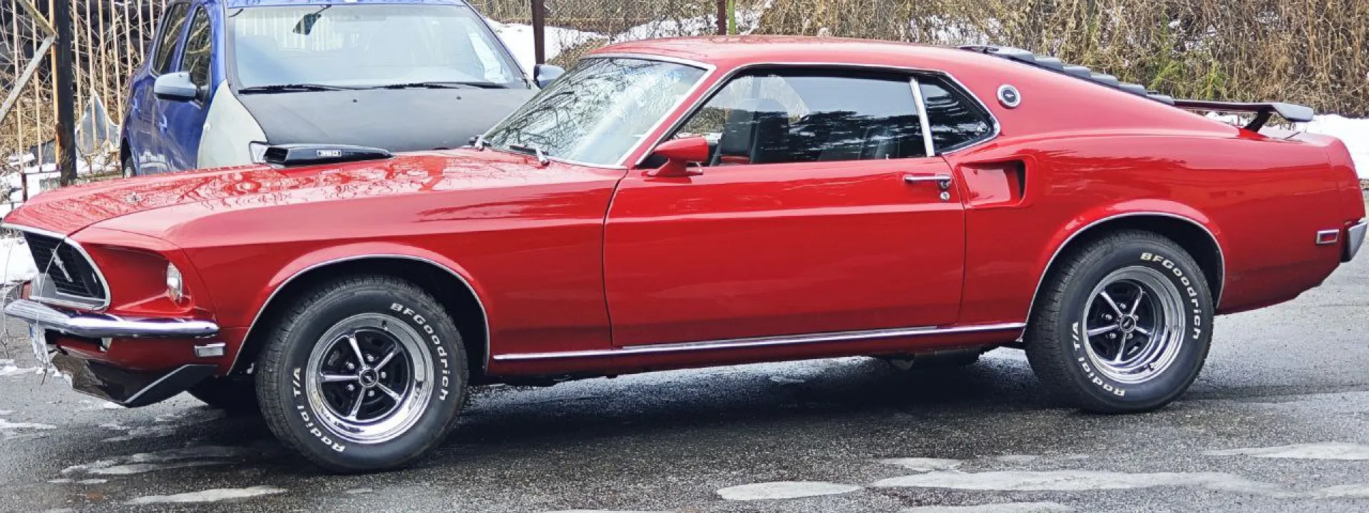 Grandpa Stang