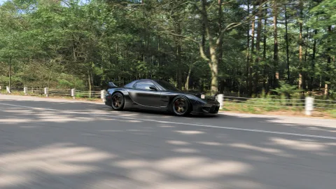FH6 photo 57