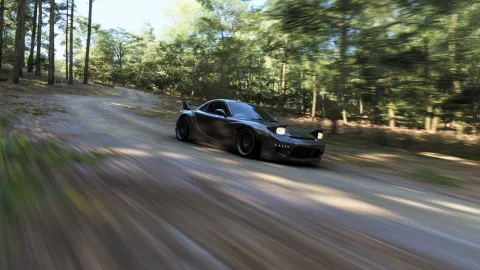 FH6 photo 83