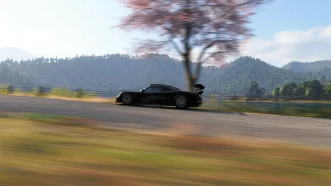 FH6 photo 40
