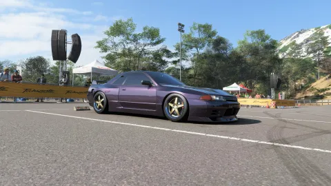 FH6 photo 38