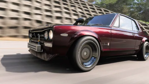 FH6 photo 11