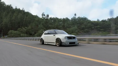 FH6 photo 37