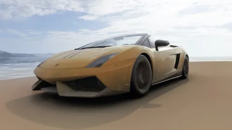 FH6 photo 9