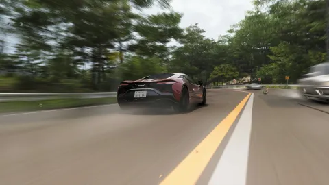 FH6 photo 14