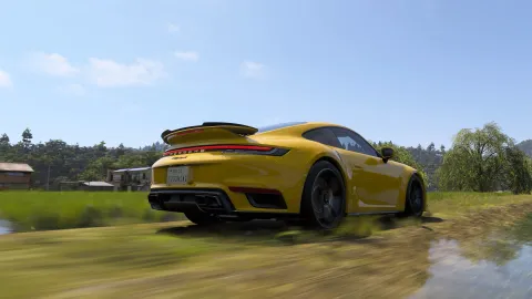 FH6 photo 5