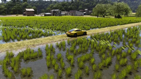 FH6 photo 10