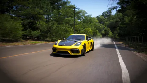 FH6 photo 33