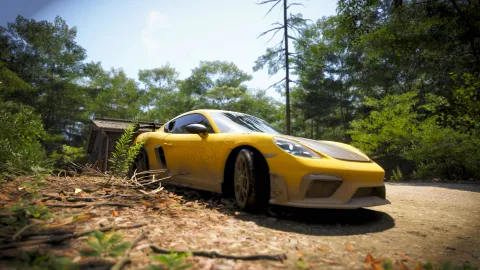 FH6 photo 68