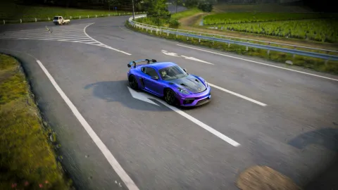 FH6 photo 2