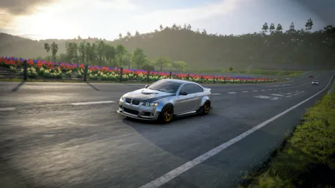 FH6 photo 7