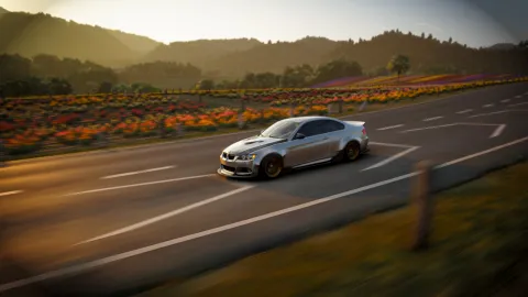 FH6 photo 30