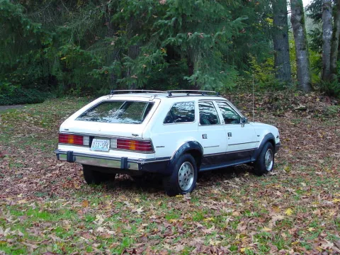 eagle-right-rear