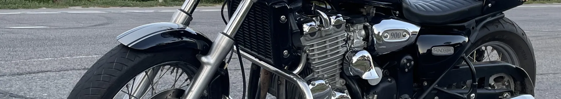 Triumph Thunderbird