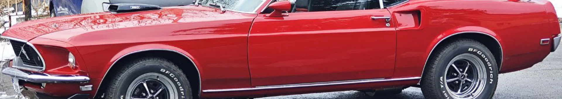 Grandpa Stang