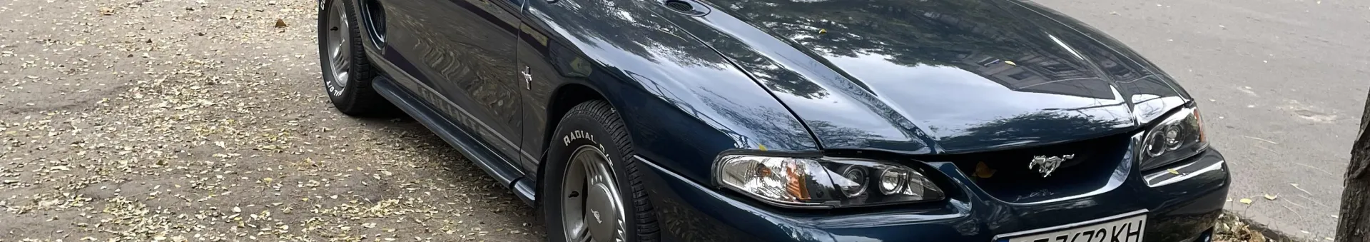 SN95 Stang