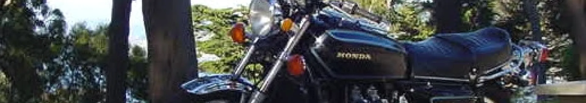 Honda Goldwing GL1000